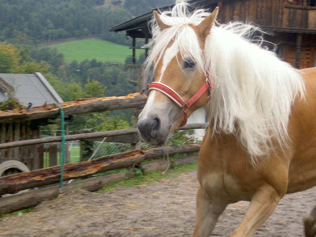 Pension Luzenberg Auffach Esterno foto